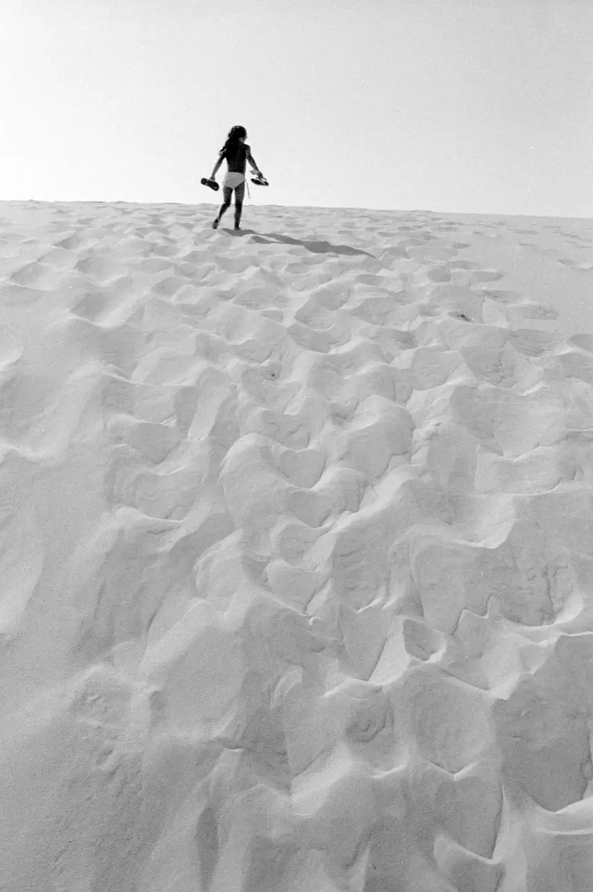 la dune