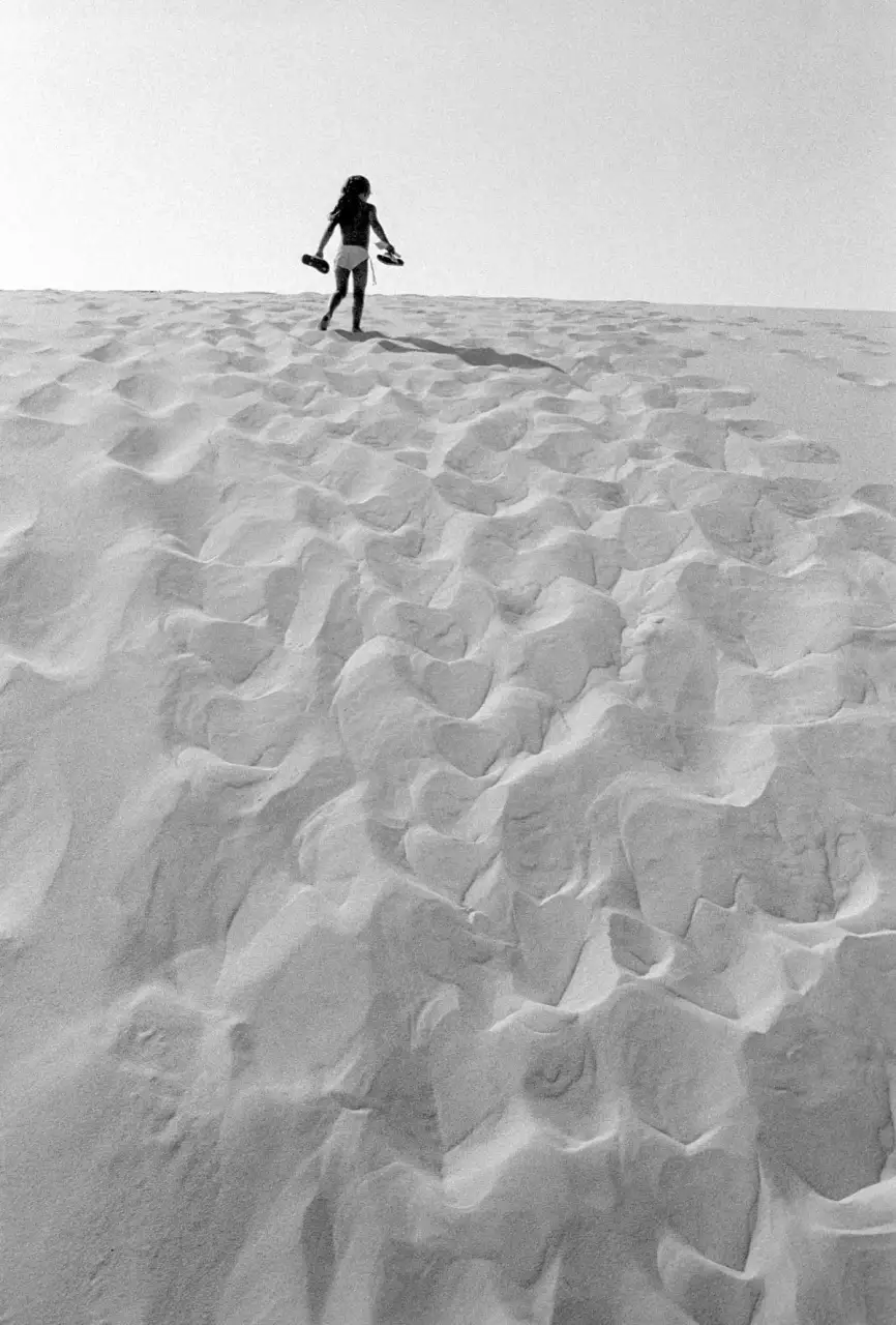 la dune