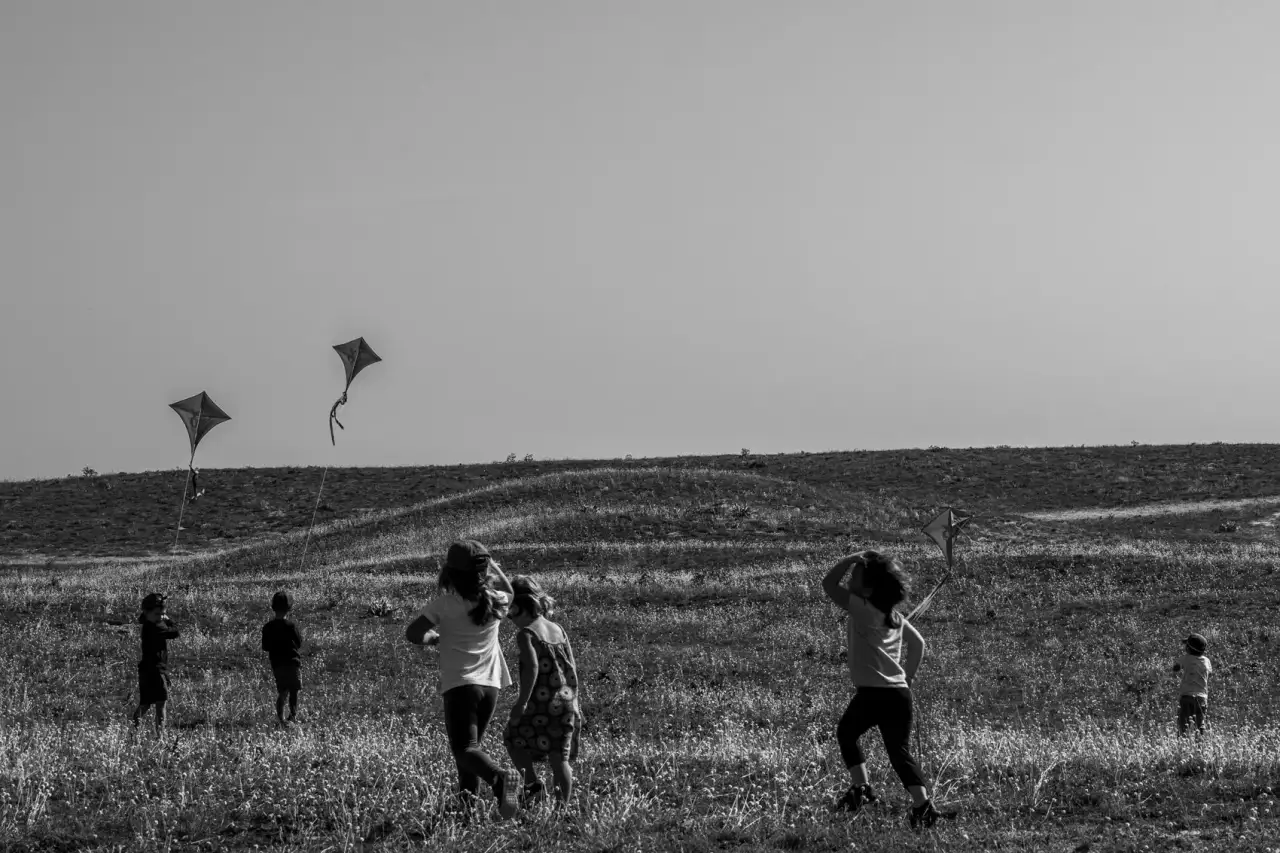 les cerfs-volants