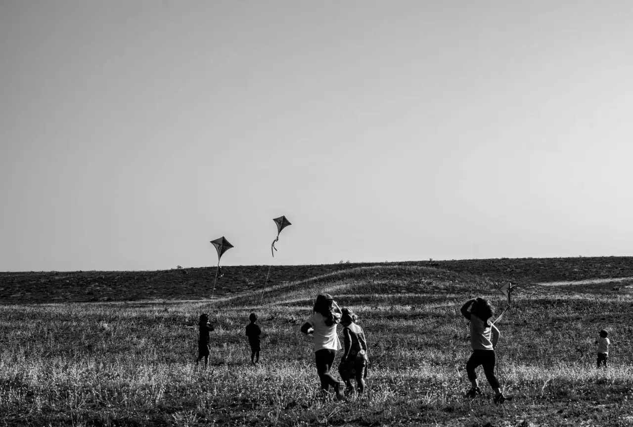 les cerfs-volants