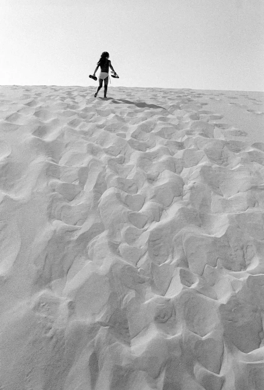 la dune