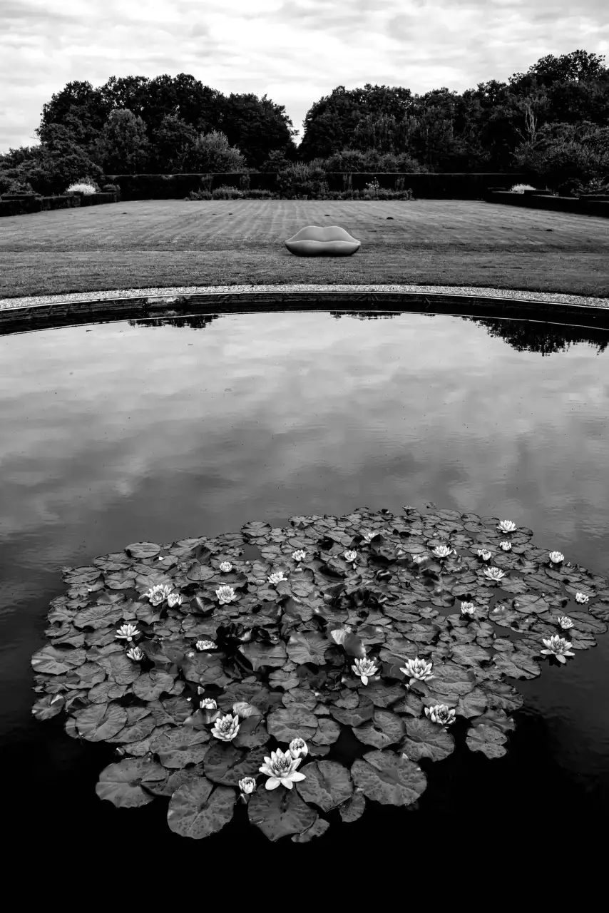 le baiser nénuphar